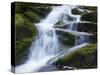 Waterfall, Glen Artney, Near Crieff, Perthshire, Scotland, United Kingdom, Europe-Jeremy Lightfoot-Stretched Canvas