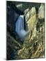 Waterfall, Grand Canyon of the Yellowstone, Yellowstone National Park, Wyoming, USA-Jean Brooks-Mounted Photographic Print