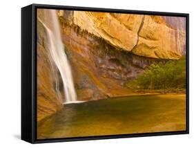 Waterfall, Grand Staircase Escalante National Monument, Utah, USA-Jay O'brien-Framed Stretched Canvas