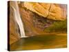 Waterfall, Grand Staircase Escalante National Monument, Utah, USA-Jay O'brien-Stretched Canvas