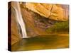 Waterfall, Grand Staircase Escalante National Monument, Utah, USA-Jay O'brien-Stretched Canvas