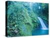 Waterfall, Guadeloupe, French Antilles, Caribbean-J P De Manne-Stretched Canvas