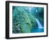 Waterfall, Guadeloupe, French Antilles, Caribbean-J P De Manne-Framed Photographic Print