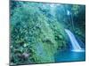 Waterfall, Guadeloupe, French Antilles, Caribbean-J P De Manne-Mounted Photographic Print