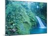 Waterfall, Guadeloupe, French Antilles, Caribbean-J P De Manne-Mounted Photographic Print