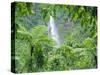 Waterfall, Guadeloupe, French Antilles, West Indies, Caribbean-J P De Manne-Stretched Canvas