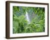 Waterfall, Guadeloupe, French Antilles, West Indies, Caribbean-J P De Manne-Framed Photographic Print