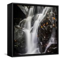 Waterfall, Hardcastle Crags, Calderdale, Yorkshire, England, United Kingdom, Europe-Bill Ward-Framed Stretched Canvas