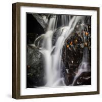 Waterfall, Hardcastle Crags, Calderdale, Yorkshire, England, United Kingdom, Europe-Bill Ward-Framed Photographic Print