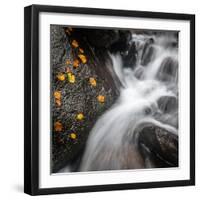 Waterfall, Hardcastle Crags, Calderdale, Yorkshire, England, United Kingdom, Europe-Bill Ward-Framed Photographic Print