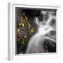 Waterfall, Hardcastle Crags, Calderdale, Yorkshire, England, United Kingdom, Europe-Bill Ward-Framed Photographic Print