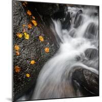 Waterfall, Hardcastle Crags, Calderdale, Yorkshire, England, United Kingdom, Europe-Bill Ward-Mounted Photographic Print