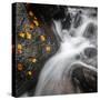 Waterfall, Hardcastle Crags, Calderdale, Yorkshire, England, United Kingdom, Europe-Bill Ward-Stretched Canvas