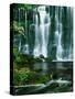 Waterfall Hebden Gill N Yorshire England-null-Stretched Canvas