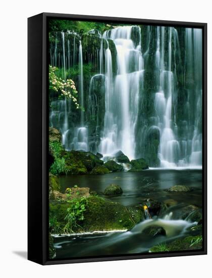 Waterfall Hebden Gill N Yorshire England-null-Framed Stretched Canvas