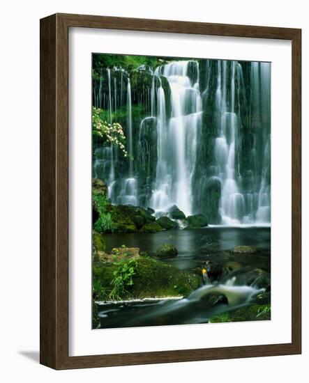 Waterfall Hebden Gill N Yorshire England-null-Framed Photographic Print