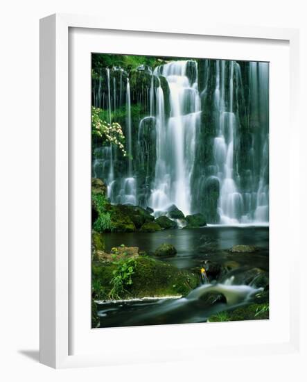 Waterfall Hebden Gill N Yorshire England-null-Framed Photographic Print