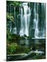 Waterfall Hebden Gill N Yorshire England-null-Mounted Photographic Print