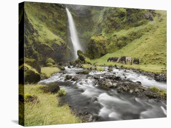 Waterfall Horses I-PHBurchett-Stretched Canvas