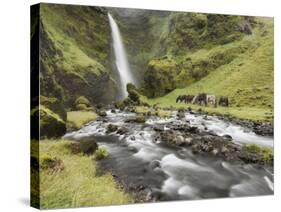 Waterfall Horses I-PHBurchett-Stretched Canvas