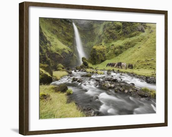 Waterfall Horses I-PHBurchett-Framed Photographic Print