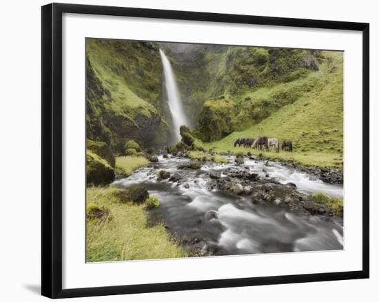 Waterfall Horses I-PHBurchett-Framed Photographic Print