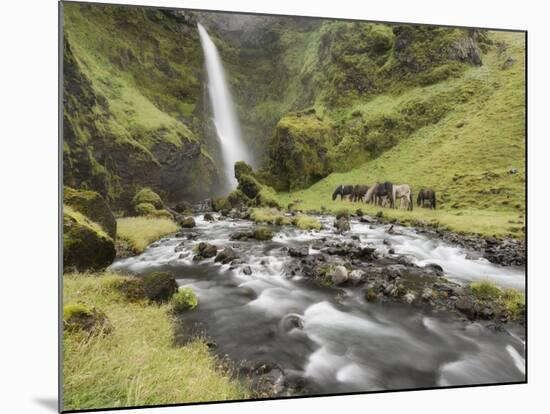 Waterfall Horses I-PHBurchett-Mounted Photographic Print