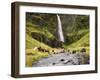 Waterfall Horses II-PHBurchett-Framed Photographic Print