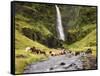 Waterfall Horses II-PHBurchett-Framed Stretched Canvas