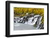 Waterfall Hraunfossar with colorful foliage during fall. Northern Iceland-Martin Zwick-Framed Photographic Print