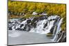 Waterfall Hraunfossar with colorful foliage during fall. Northern Iceland-Martin Zwick-Mounted Photographic Print