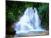 Waterfall I-Howard Ruby-Mounted Premium Photographic Print