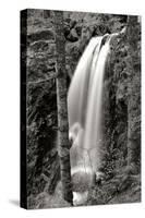 Waterfall I-Brian Moore-Stretched Canvas