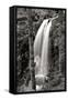 Waterfall I-Brian Moore-Framed Stretched Canvas