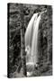 Waterfall I-Brian Moore-Stretched Canvas