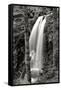 Waterfall I-Brian Moore-Framed Stretched Canvas