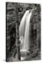 Waterfall I-Brian Moore-Stretched Canvas