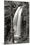 Waterfall I-Brian Moore-Mounted Premium Photographic Print