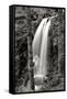 Waterfall I-Brian Moore-Framed Stretched Canvas