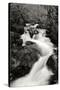 Waterfall II-Brian Moore-Stretched Canvas