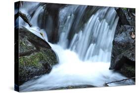 Waterfall II-Logan Thomas-Stretched Canvas