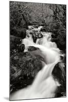 Waterfall II-Brian Moore-Mounted Photographic Print