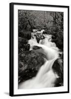 Waterfall II-Brian Moore-Framed Photographic Print