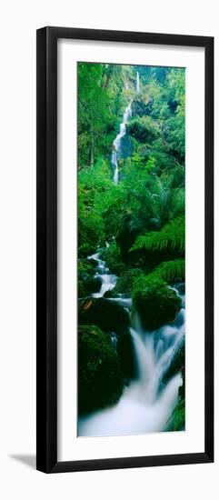 Waterfall in a Forest, Dartmoor, Devon, England-null-Framed Photographic Print