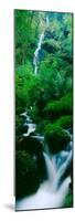 Waterfall in a Forest, Dartmoor, Devon, England-null-Mounted Photographic Print