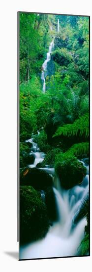 Waterfall in a Forest, Dartmoor, Devon, England-null-Mounted Photographic Print