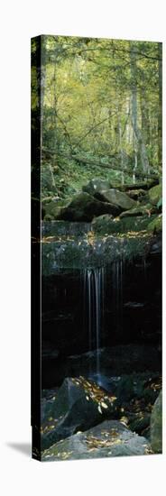 Waterfall in a Forest, Great Smoky Mountains National Park, North Carolina, USA-null-Stretched Canvas