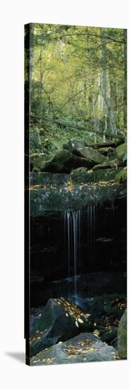 Waterfall in a Forest, Great Smoky Mountains National Park, North Carolina, USA-null-Stretched Canvas