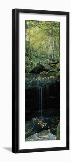 Waterfall in a Forest, Great Smoky Mountains National Park, North Carolina, USA-null-Framed Photographic Print