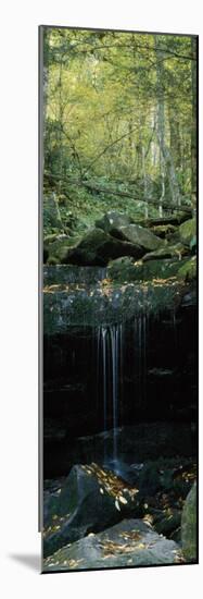 Waterfall in a Forest, Great Smoky Mountains National Park, North Carolina, USA-null-Mounted Photographic Print